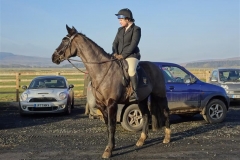 DSC04830_Custom