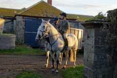 DSC07500_Custom