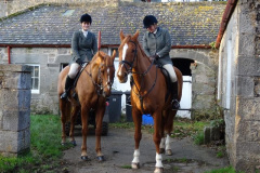 DSC07510_Custom