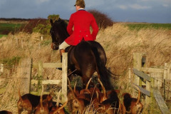 DSC07530_Custom