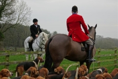 DSC03493_Custom