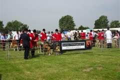 DSC08389_Custom