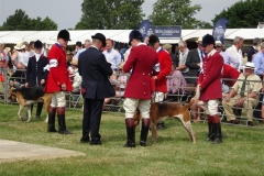 DSC08415_Custom