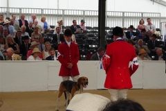 DSC08483_Custom