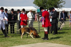 DSC08533_Custom