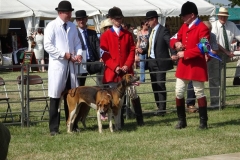 DSC08536_Custom