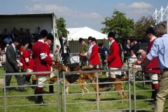 DSC08540_Custom