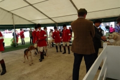 the great yorkshire show 09 july 2014