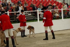 DSC04633_Custom
