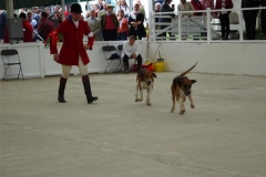 DSC08339_Custom