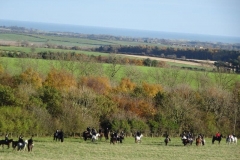 DSC01613