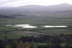 DSC01683
