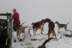 AIMG0039A_Custom