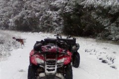 AIMG0043A_Custom