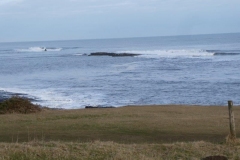 P1050503
