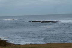 P1050505