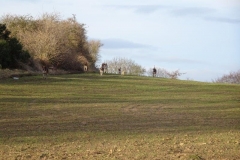 DSC05700