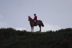 DSC05704