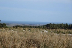 DSC05925