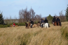 DSC05926