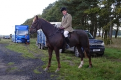 DSC00556_Custom