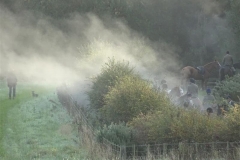 DSC00576_Custom