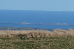 P1060697