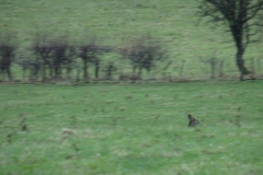 DSC03968