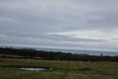 DSC02345