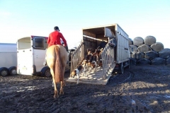 wed and sat 22 and 25 jan 20