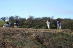 DSC05265