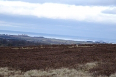 DSC05352