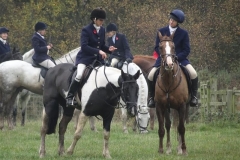 DSC01568_Custom