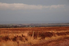 DSC03140