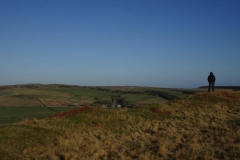 DSC04993