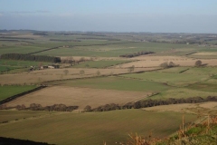 DSC04995