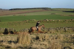 DSC05006