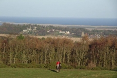 DSC05010