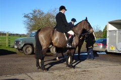 DSC05574_Custom