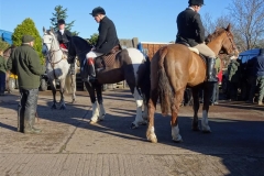 DSC05575_Custom