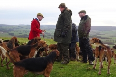 DSC04432_Custom