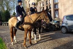 DSC06381_Custom