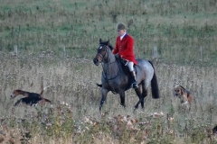 DSC05378_Custom