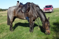 DSC05450_Custom