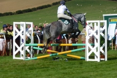 P1080658_Custom