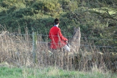 DSC03699