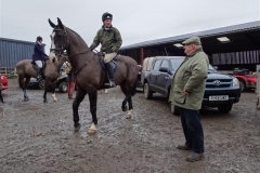 DSC04581_Custom