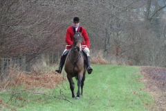 DSC04629_Custom