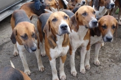 DSC06846_Custom