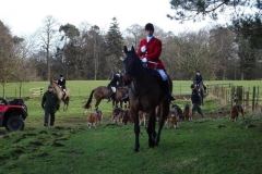 DSC04800
